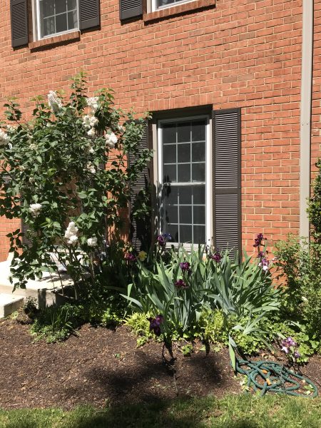 Fully renovated basement apartment North Bethesda NIH $1000
