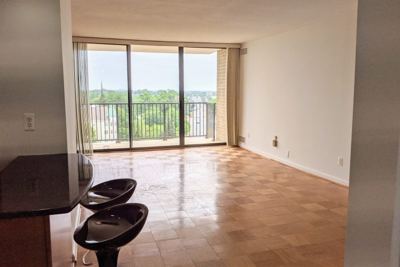 Spacious 1-Bedroom with Beautiful High-Rise View