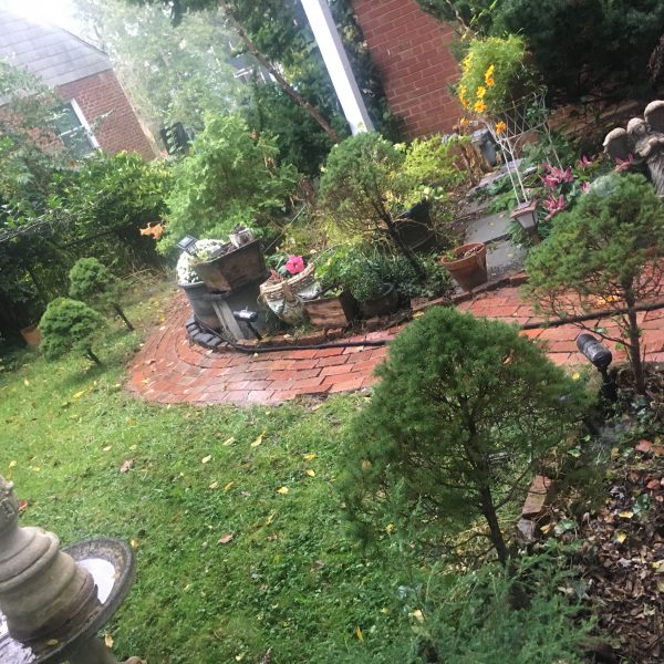 Fully Furnished Big Lower Level Home Apartment in Exclusive, Safe Bethesda