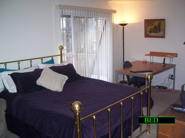 Furnished luxury suite 15-minute bus ride from NIH