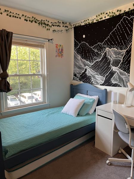 Quiet Sunny Furnished Summer Bethesda Rental- Close to everything! Easy to get to by bus or bike!