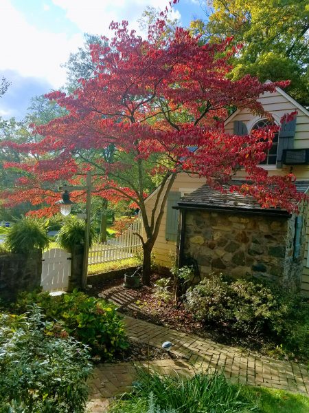 Charming studio apt in Rockville 