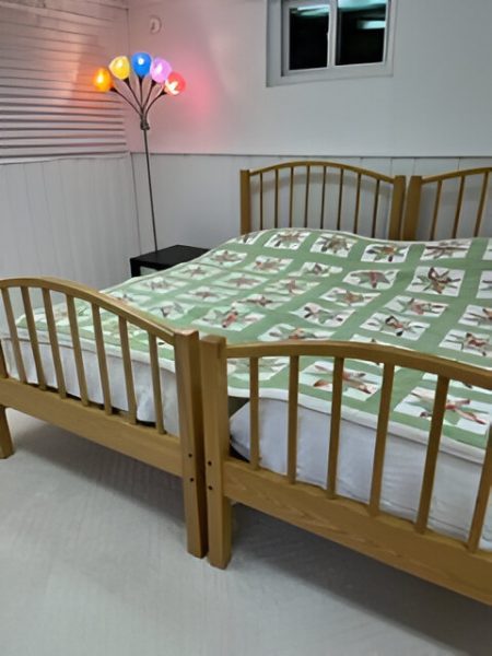 1 Metro Stop to NIH, Furnished Basement