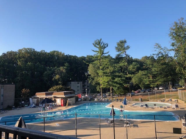 Spacious room in North Bethesda for a female professional