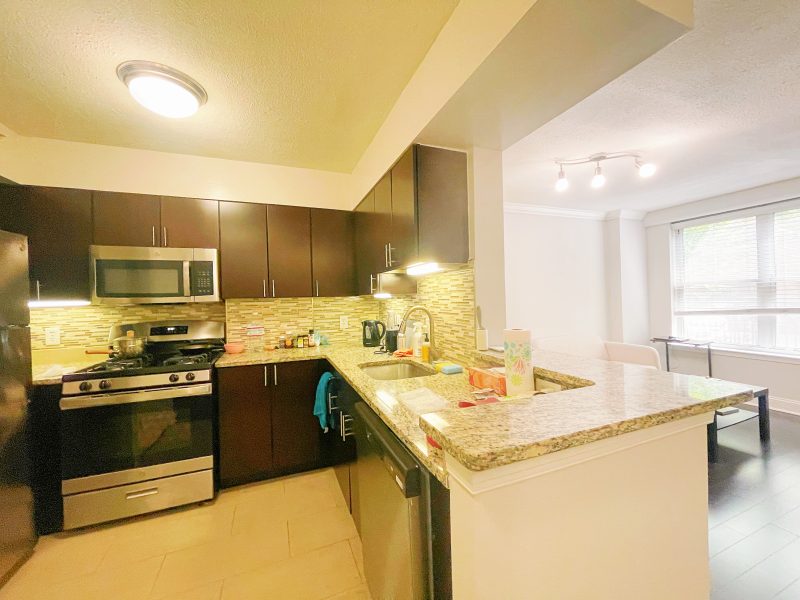 Washington DC Luxury 1B1B summer rental