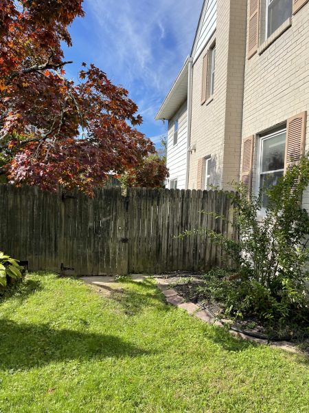 Walk-out Private Basement Unit in Forest Glen/Silver Spring