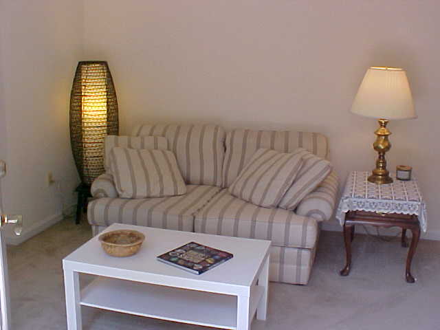 🌞 Bright, Sunny & Quiet 1 BDR Patio-Level Apartment – Furnished or Unfurnished – 1 Mile from NIH