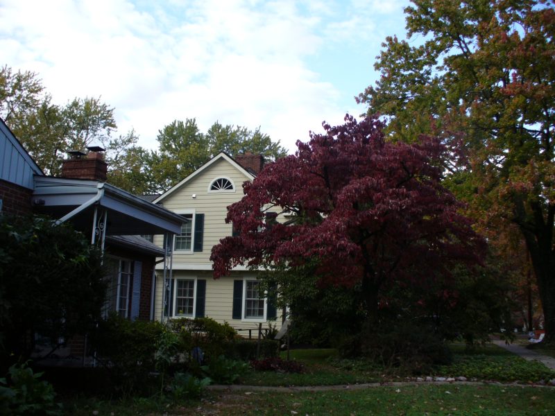 A large furnished room available at a very safe location in a single-family house, 15 min walking distance to NIH